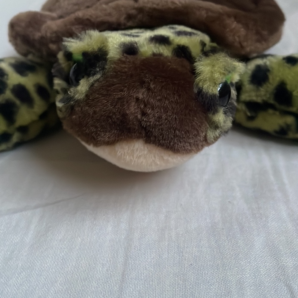 Turtle Stuffed Animal - Picture 4 of 4
